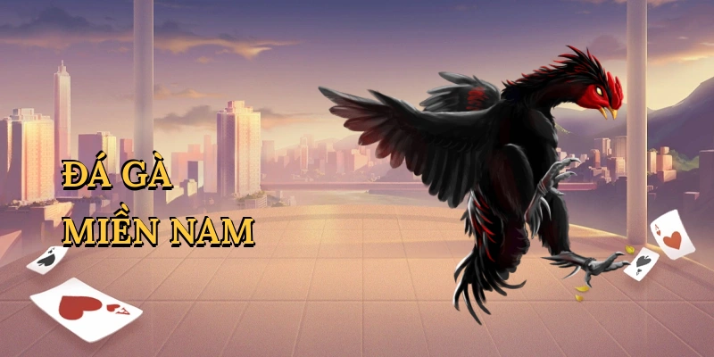 Đá gà miền Nam