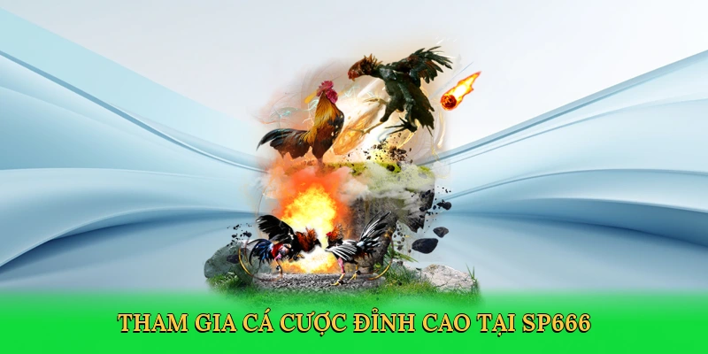 Tham gia cá cược đỉnh cao tại SP666
