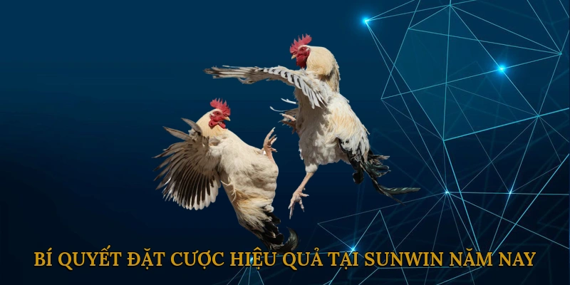Bí quyết đặt cược hiệu quả tại SUNWIN năm nay