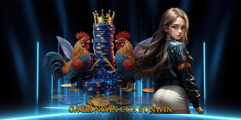 Gà Đá Ngắn Cựa SUNWIN
