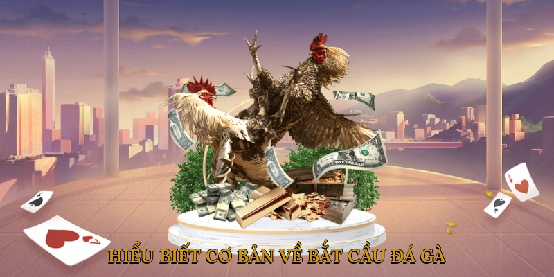 Hiểu Biết Cơ Bản về Bắt Cầu Đá Gà