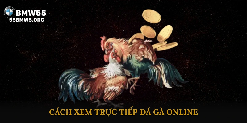 Cách Xem Trực Tiếp Đá Gà Online