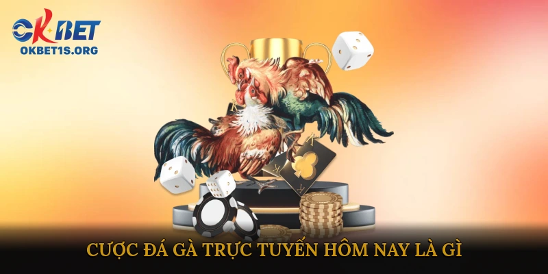 Cược đá gà trực tuyến hôm nay là gì?