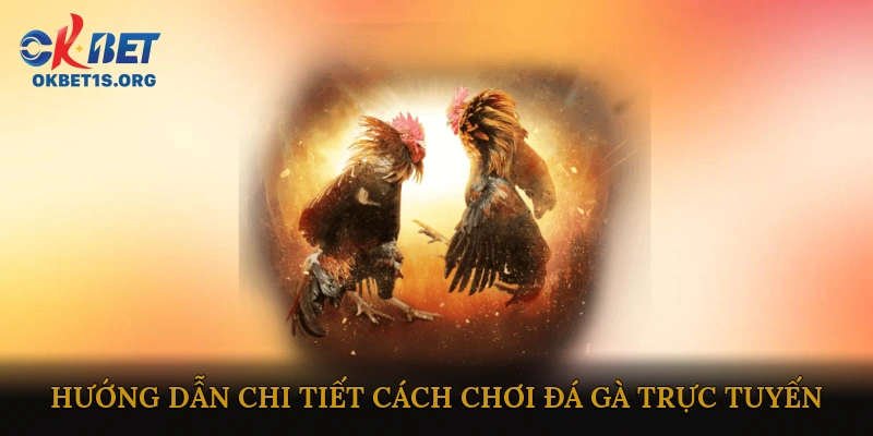 Hướng dẫn chi tiết cách chơi đá gà trực tuyến
