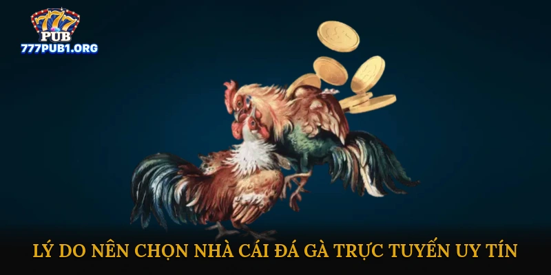 Lý Do Nên Chọn Nhà Cái Đá Gà Trực Tuyến Uy Tín