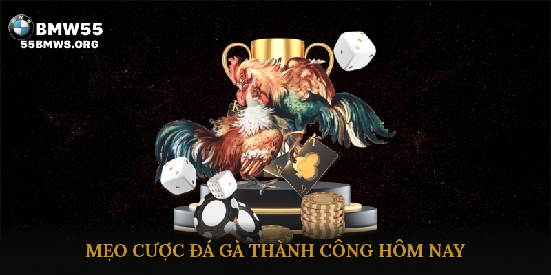 Mẹo Cược Đá Gà Thành Công Hôm Nay