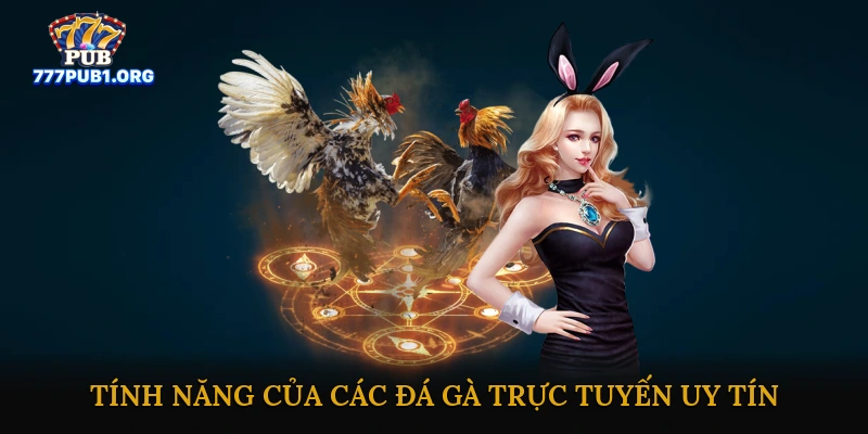 Tính Năng Của Các Nhà Cái Đá Gà Trực Tuyến Uy Tín