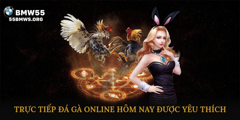 Lý Do Trực Tiếp Đá Gà Online Hôm Nay Được Yêu Thích